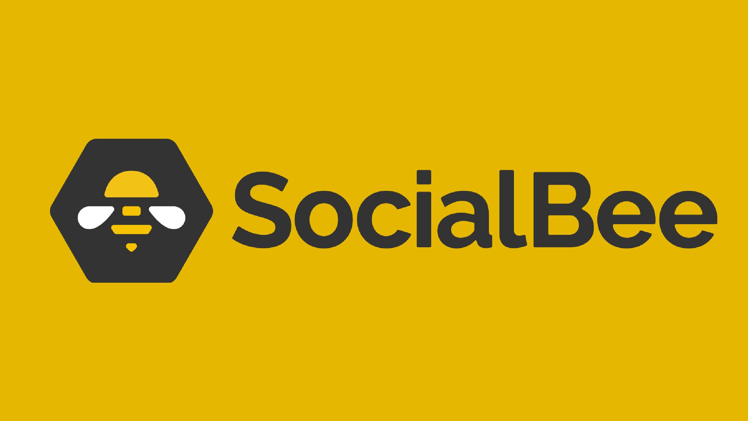 SocialBee Review 2024: Always A Better Way!